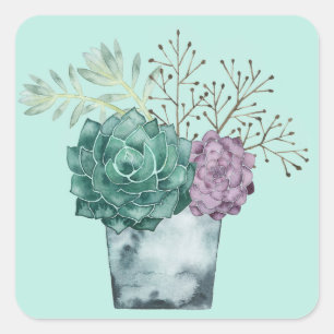 Sticker Carré Collection plante Happy Succulents