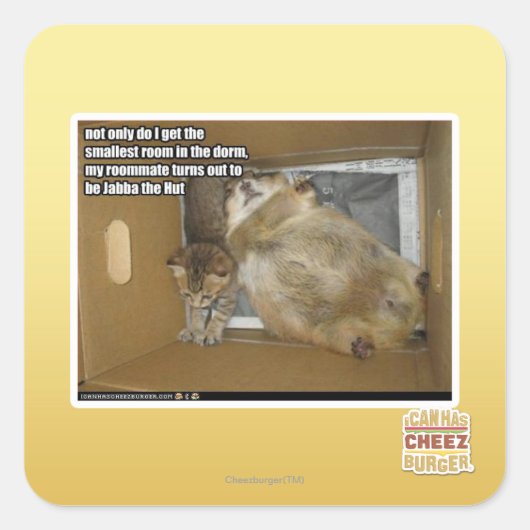 Sticker Carré colocat de graisse (Devant)