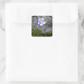 Sticker Carré Colorado Columbine (Sac)