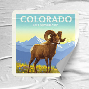 Sticker Carré Colorado vintage