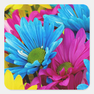Sticker Carré Colorée Rose Turquoise Bleu  Gerber Fleurs