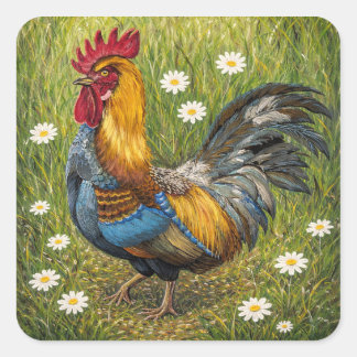 Sticker Carré Colorful Rooster in Daisy Meadow – Nature Art Stic