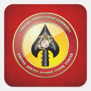 Sticker Carré Commande d'opérations spéciales d'usmc (MARSOC)