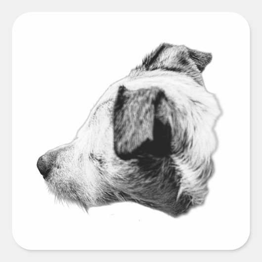 Sticker Carré Compagnon dans le profil (Devant)