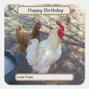 Sticker Carré Compagnons de plumes : Coq blanc et Sa Hen