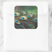 Sticker Carré Composition de plumes de paon brillantes (Sac)