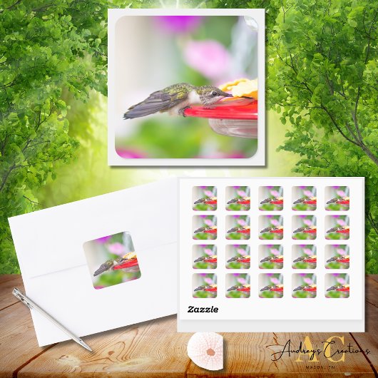 Sticker Carré Conception Colibri #0624