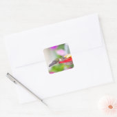 Sticker Carré Conception Colibri #0624 (Enveloppe)