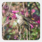 Sticker Carré Conception Colibri #8401 (Devant)