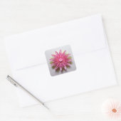 Sticker Carré Conception d'origami floral rose complexe (Enveloppe)