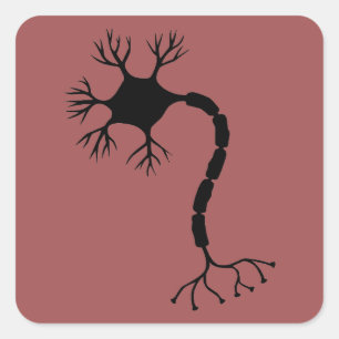 Sticker Carré Conception simple de neurone noir
