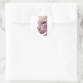Sticker Carré conceptions animales (Sac)