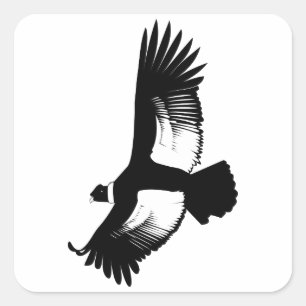 Sticker Carré Condor andin volant