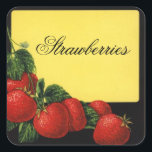 Sticker Carré CONSERVATION DE Fruits DE PÂTES, Canne<br><div class="desc">Développement vintage coloré pour confiture de fruits rouges,  confiture,  étiquettes de pot.</div>
