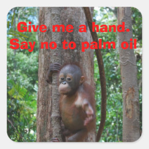 Sticker Carré Conservation Nature