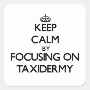 Sticker Carré Conserver le calme en se concentrant sur Taxidermy