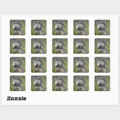 Sticker Carré Continuez ! (Feuille)
