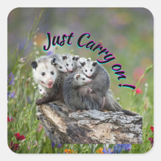 Sticker Carré Continuez !
