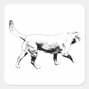 Sticker Carré contour pas