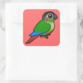 Sticker Carré Conure à joues vertes Birdorable (Sac)