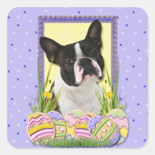 Sticker Carré Cookies d'oeufs de Pâques - Boston Terrier (Devant)