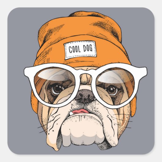 Sticker Carré Cool Hipster Bulldog (Devant)