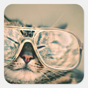 Sticker Carré Cool Kitty dans les lunettes surdimensionnées