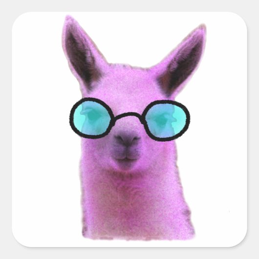 Sticker Carré Cool Pink Llama ! (Devant)