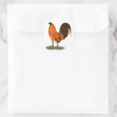 Sticker Carré Coq de combat Ginger Rouge (Sac)