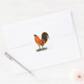 Sticker Carré Coq de combat Ginger Rouge (Enveloppe)