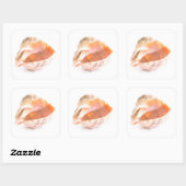 Sticker Carré Coquillage (Feuille)
