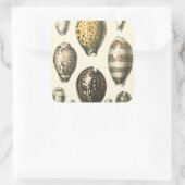 Sticker Carré Coquillages De Forme Unique (Sac)