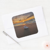 Sticker Carré Coquille À La Plage Au Coucher Du Soleil | Île de (Enveloppe)