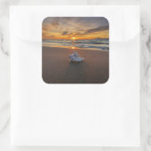 Sticker Carré Coquille À La Plage Au Coucher Du Soleil | Île de (Sac)