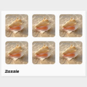 Sticker Carré Coquille De Conche Dans Le Sable Sur La Plage Trop (Feuille)