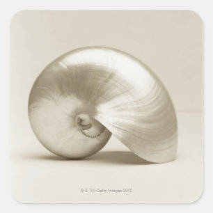 Sticker Carré Coquille Pearlised de mer de nautilus