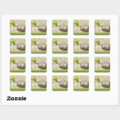Sticker Carré Coquito Coco (Feuille)