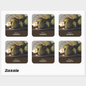 Sticker Carré Coquito Coconut Classique (Feuille)
