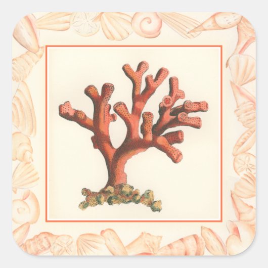 Sticker Carré Corail rouge avec bordure conique (Devant)