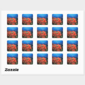 Sticker Carré Coral and fish (Feuille)