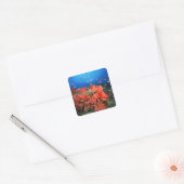 Sticker Carré Coral and fish (Enveloppe)