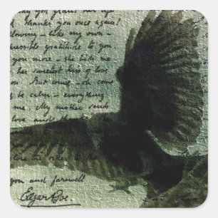 Sticker Carré Corbeau 3