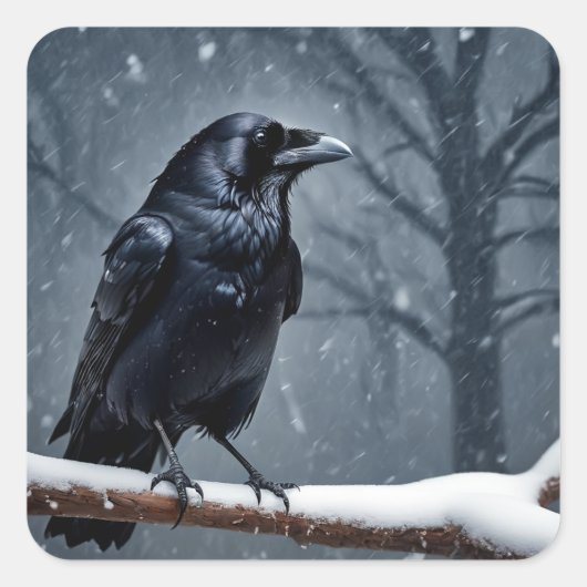Sticker Carré Corbeau noir foncé (Devant)