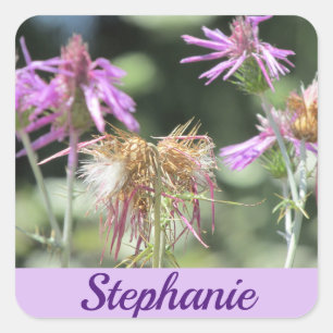 Sticker Carré Corfu Lilac Fleurs sauvages