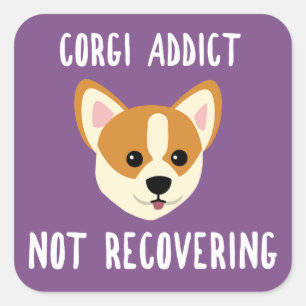 Sticker Carré Corgi Addict ne se rétablissant pas
