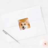 Sticker Carré Corgi Face (Enveloppe)