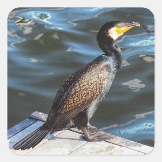 Sticker Carré Cormorant (Devant)