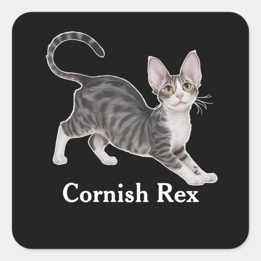 Sticker Carré Cornish Rex (Devant)
