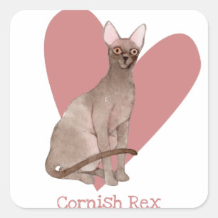 Sticker Carré Cornouailles Rex Chat Aquarelle Kitty Coeur rose