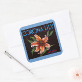 Sticker Carré Corona Lily (Enveloppe)